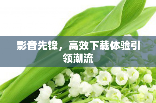 高效下载体验引领潮流图片