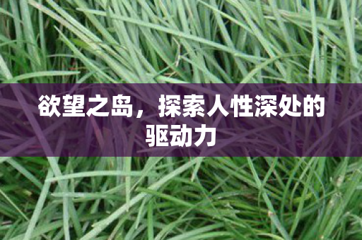 探索人性深处的驱动力图片