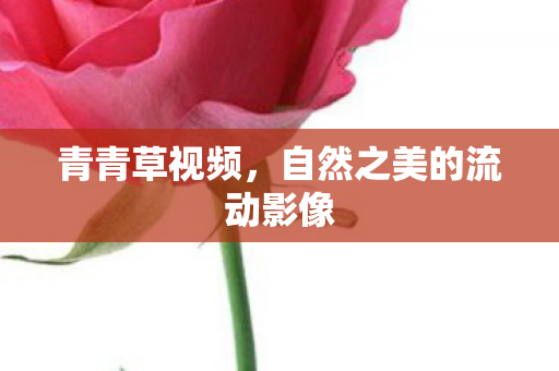 自然之美的流动影像图片