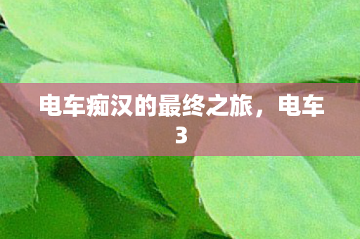 电车痴汉的最终之旅图片