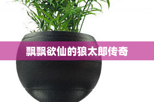 飘飘欲仙的狼太郎传奇图片
