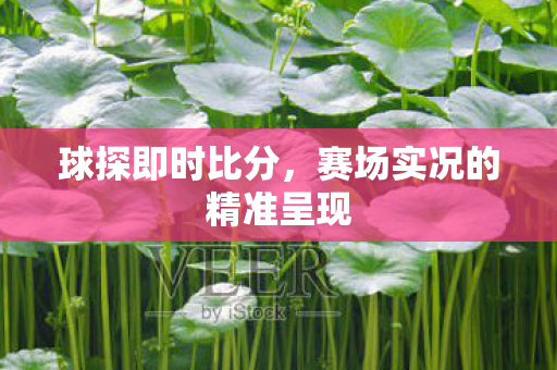 赛场实况的精准呈现图片