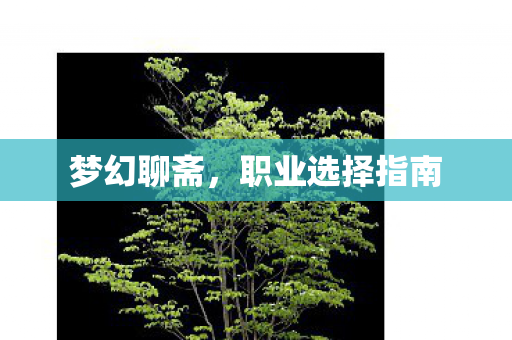 职业选择指南图片