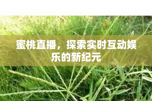 探索实时互动娱乐的新纪元图片