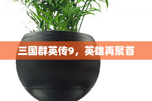 三国群英传9图片