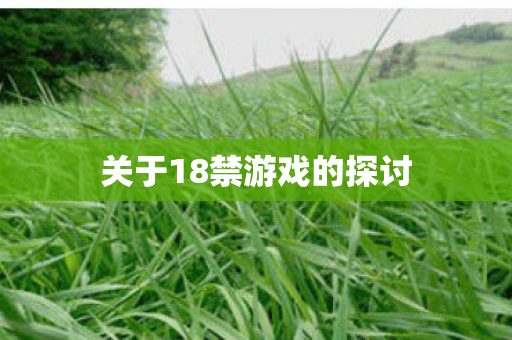 关于18禁游戏的探讨图片
