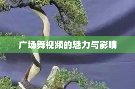 广场舞视频的魅力与影响图片