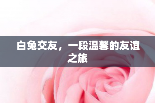 一段温馨的友谊之旅图片