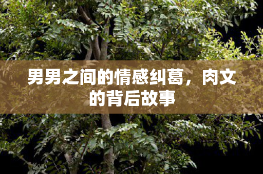 男男之间的情感纠葛图片