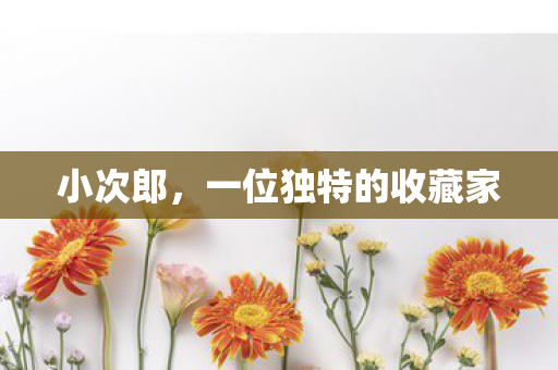 一位独特的收藏家图片