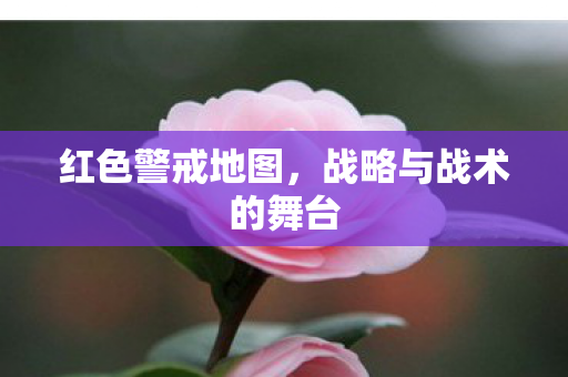 战略与战术的舞台图片