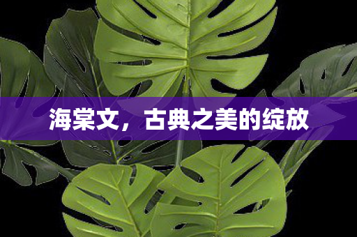 古典之美的绽放图片