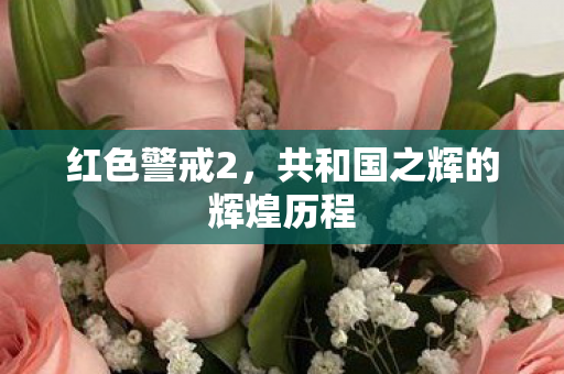 共和国之辉的辉煌历程图片