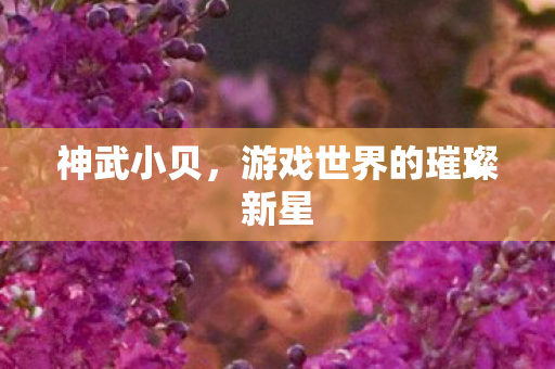 游戏世界的璀璨新星图片