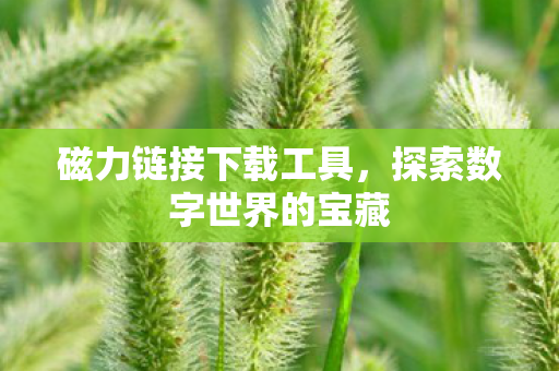 探索数字世界的宝藏图片