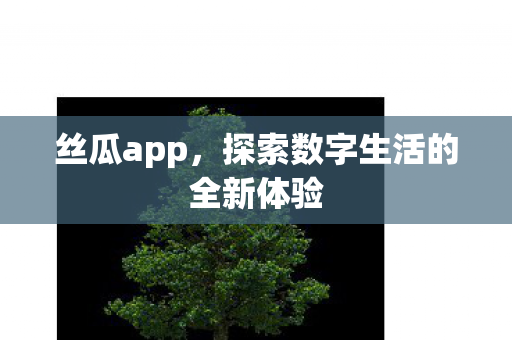 探索数字生活的全新体验图片