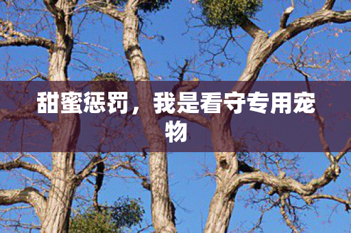 我是看守专用宠物图片