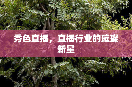 直播行业的璀璨新星图片