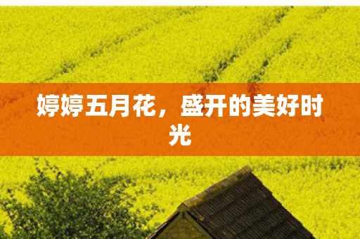 盛开的美好时光图片