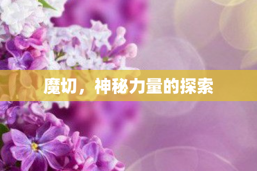神秘力量的探索图片