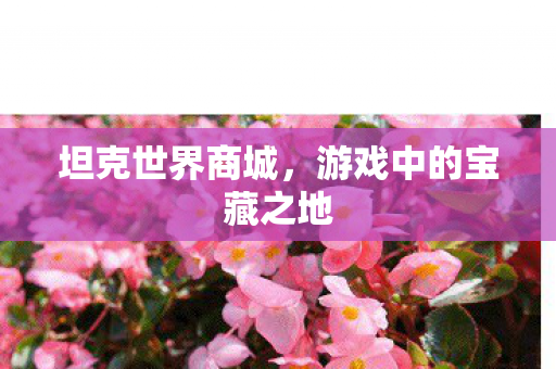 游戏中的宝藏之地图片