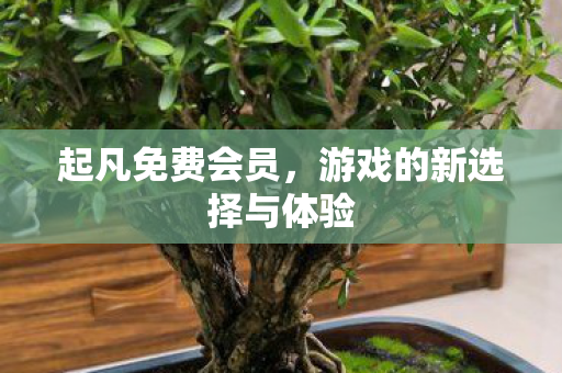 游戏的新选择与体验图片