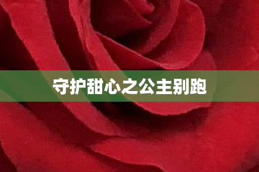 守护甜心之公主别跑图片