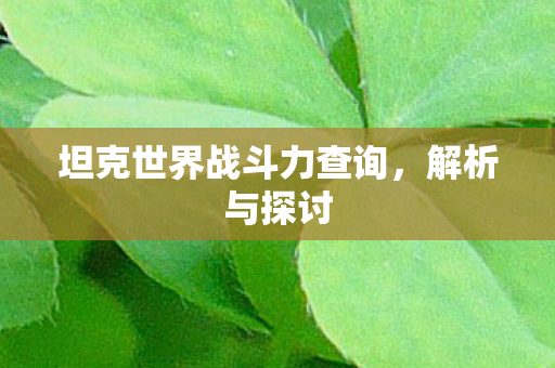 坦克世界战斗力查询图片