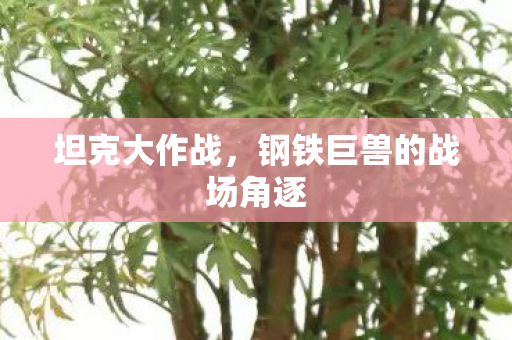 钢铁巨兽的战场角逐图片