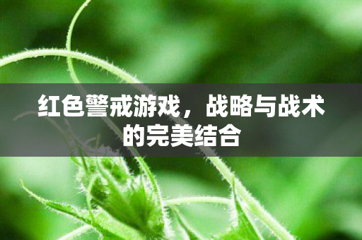 战略与战术的完美结合图片