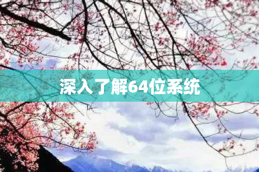 深入了解64位系统图片