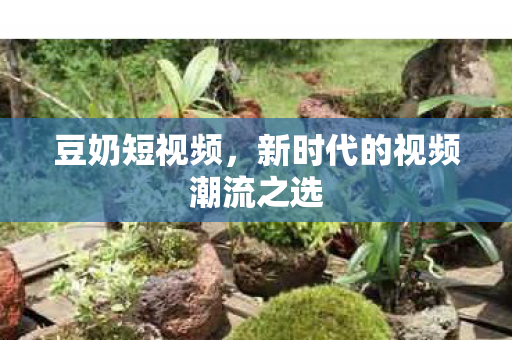 新时代的视频潮流之选图片