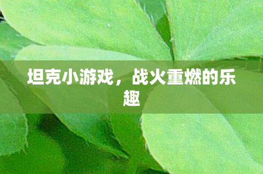 战火重燃的乐趣图片