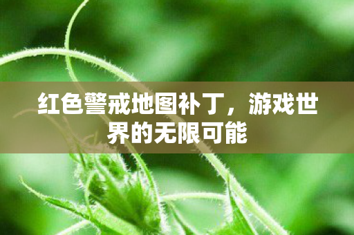 游戏世界的无限可能图片