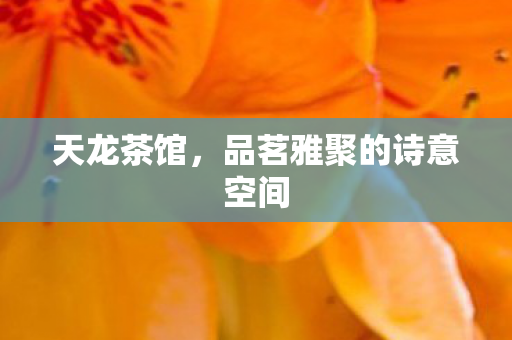 品茗雅聚的诗意空间图片