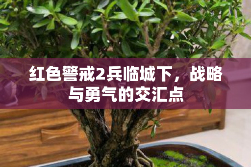 红色警戒2兵临城下图片