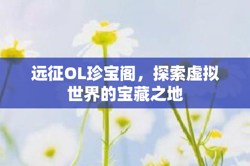 探索虚拟世界的宝藏之地图片