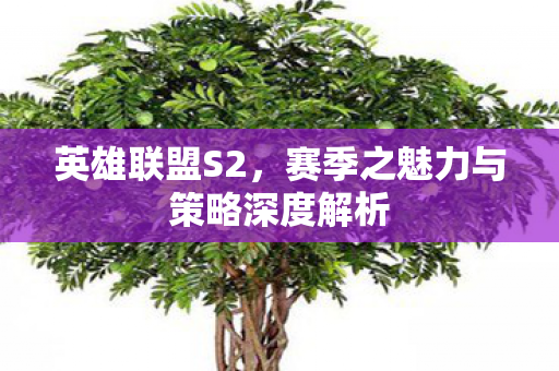 赛季之魅力与策略深度解析图片
