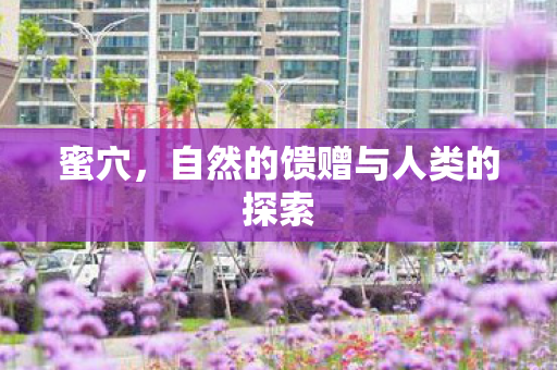 自然的馈赠与人类的探索图片