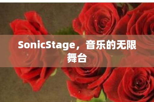 SonicStage图片