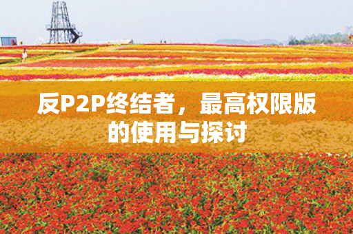 最高权限版的使用与探讨图片