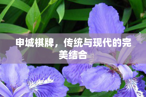 传统与现代的完美结合图片