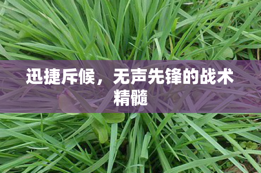 无声先锋的战术精髓图片