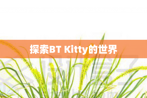 探索BT Kitty的世界图片
