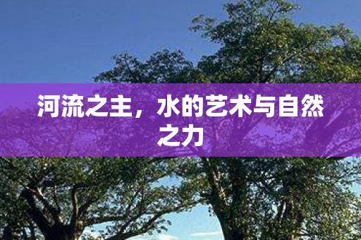 水的艺术与自然之力图片