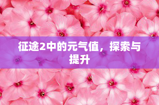 征途2中的元气值图片
