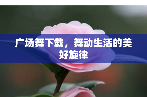 舞动生活的美好旋律图片