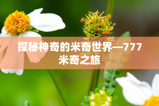 探秘神奇的米奇世界图片