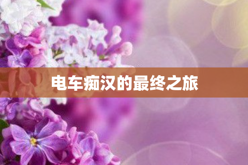 电车痴汉的最终之旅图片