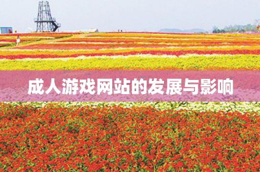 成人游戏网站的发展与影响图片